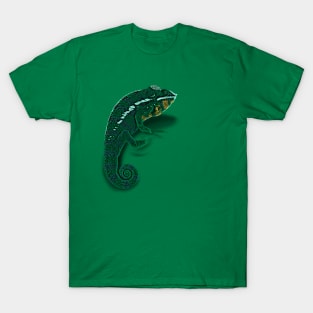 Color Matching Chameleon Clinger T-Shirt